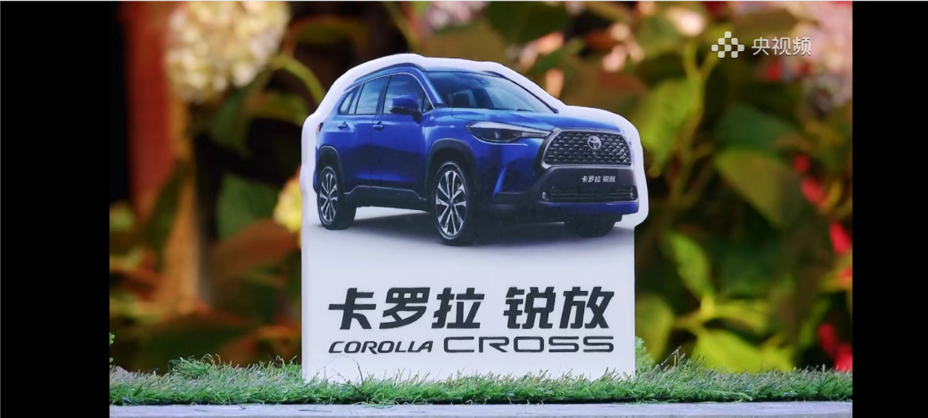 选择卡罗拉 锐放，玩转周末新花young