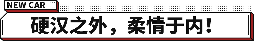 204马力+超强智能四驱！能家用能越野的全新日产奇骏终于换代！