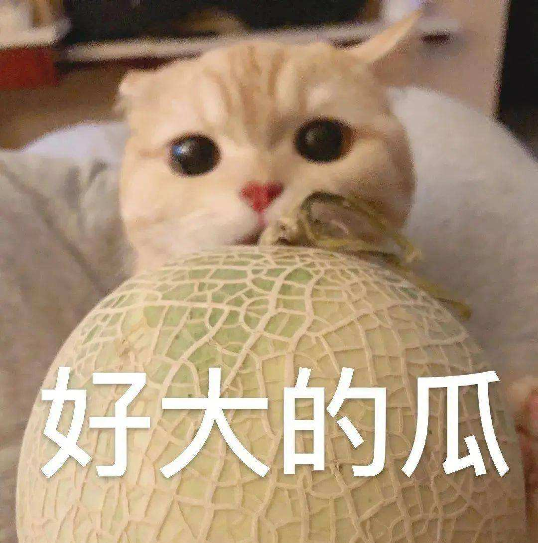 4月新能源汽车交付量大变天；恒驰招募代理商；苹果造车有新进展