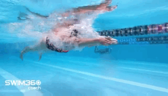 如何快速学会蛙泳，如何快速提高蛙泳速度？