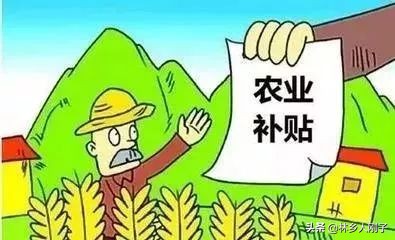 农业补贴找哪个部门申报最靠谱？