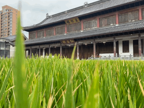 别再说什么小京都了，宁波这些寺庙来打脸了