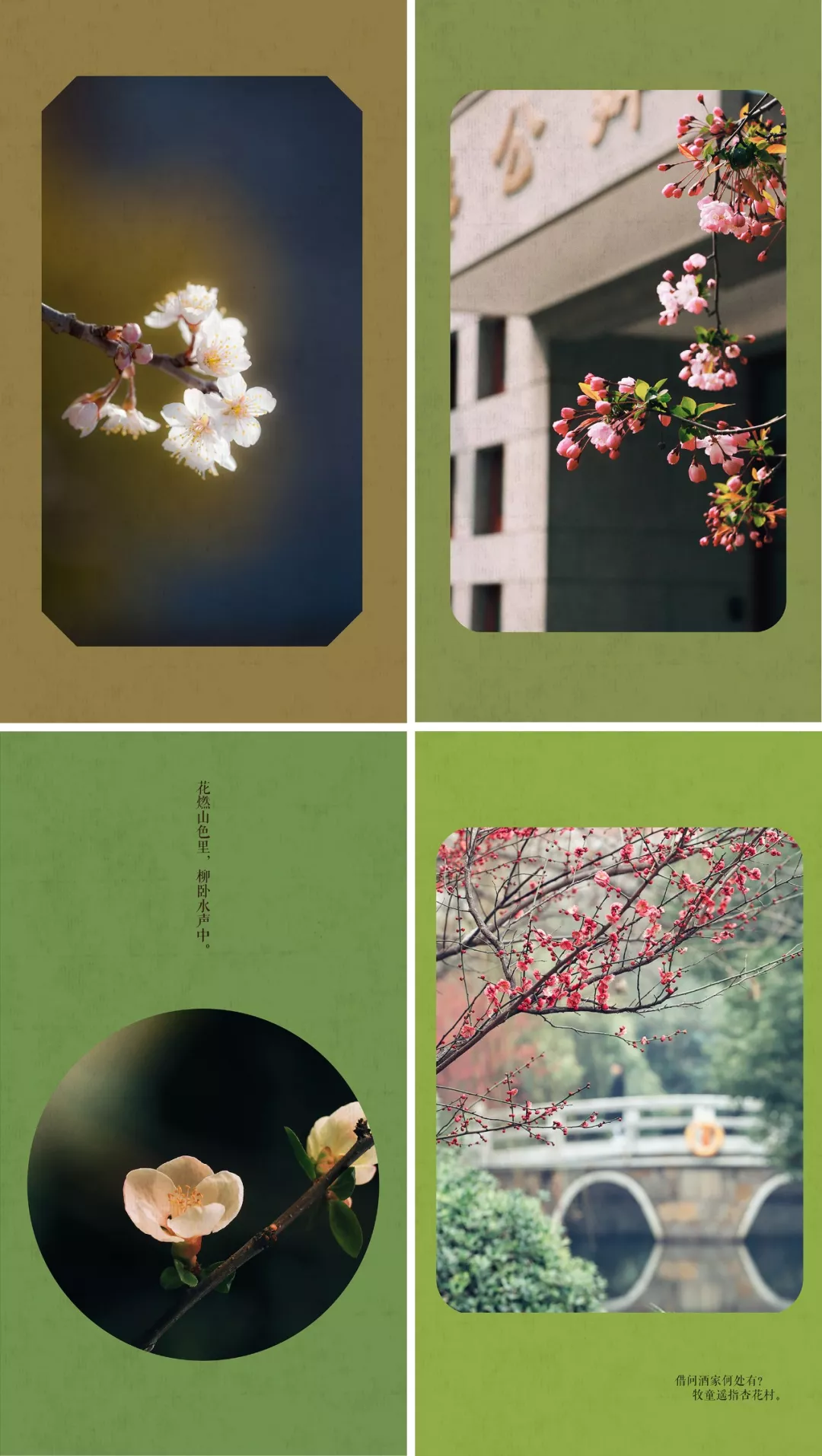 中国这10所大学壁纸第二期！厦门大学、中山大学等在列