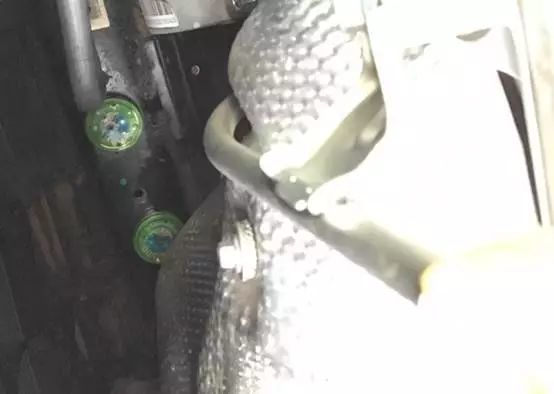 发动机舱进了老鼠，不仅恶心还毁车！有什么办法解决？