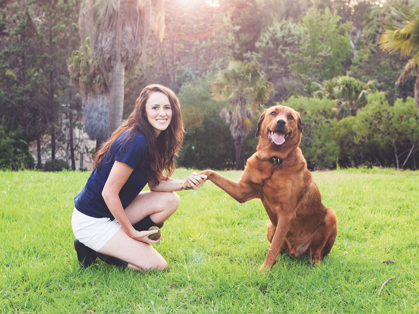 为什么训犬师男的多?难道训狗还要看性别?男女训犬确实不一样!