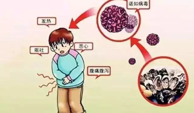 夏季腹泻真难受，医生：做到这5点能有效预防，让你健康一夏