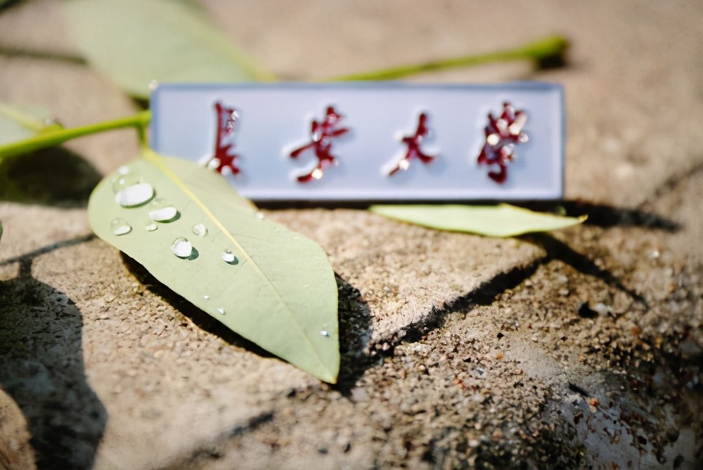 “东西南北”集齐，西京学院更名为“西京大学”？评论区太搞笑