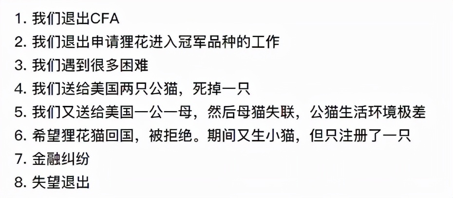 被CFA认证除名的中国狸花猫，到底有多优秀