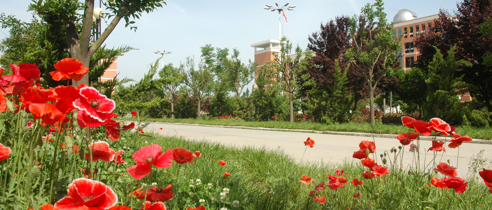 周口2020高考，郸城一高717分获市理科状元，600分上线人数增千人