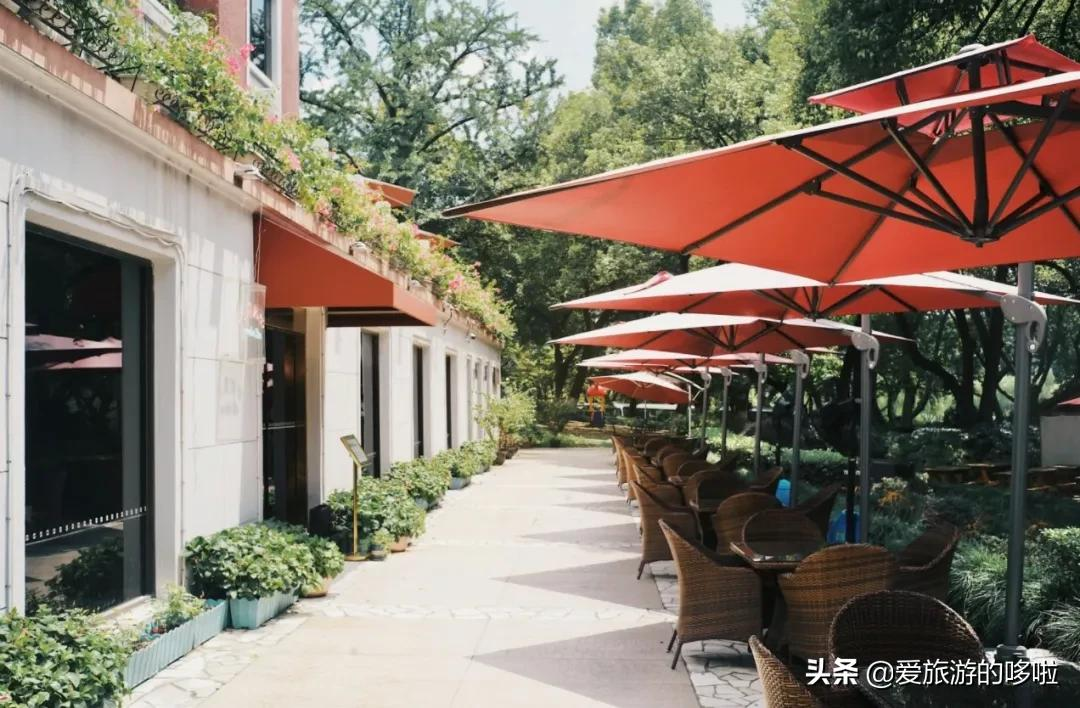 6块钱,包船游西湖