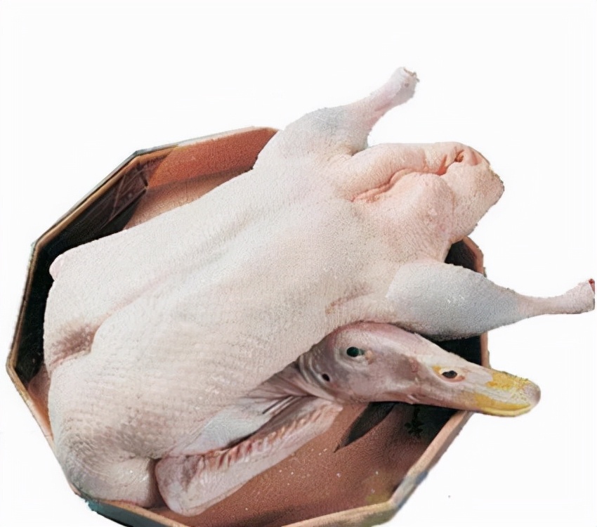狗能吃牛肉吗（狗狗可以吃的4种肉好吃又营养）