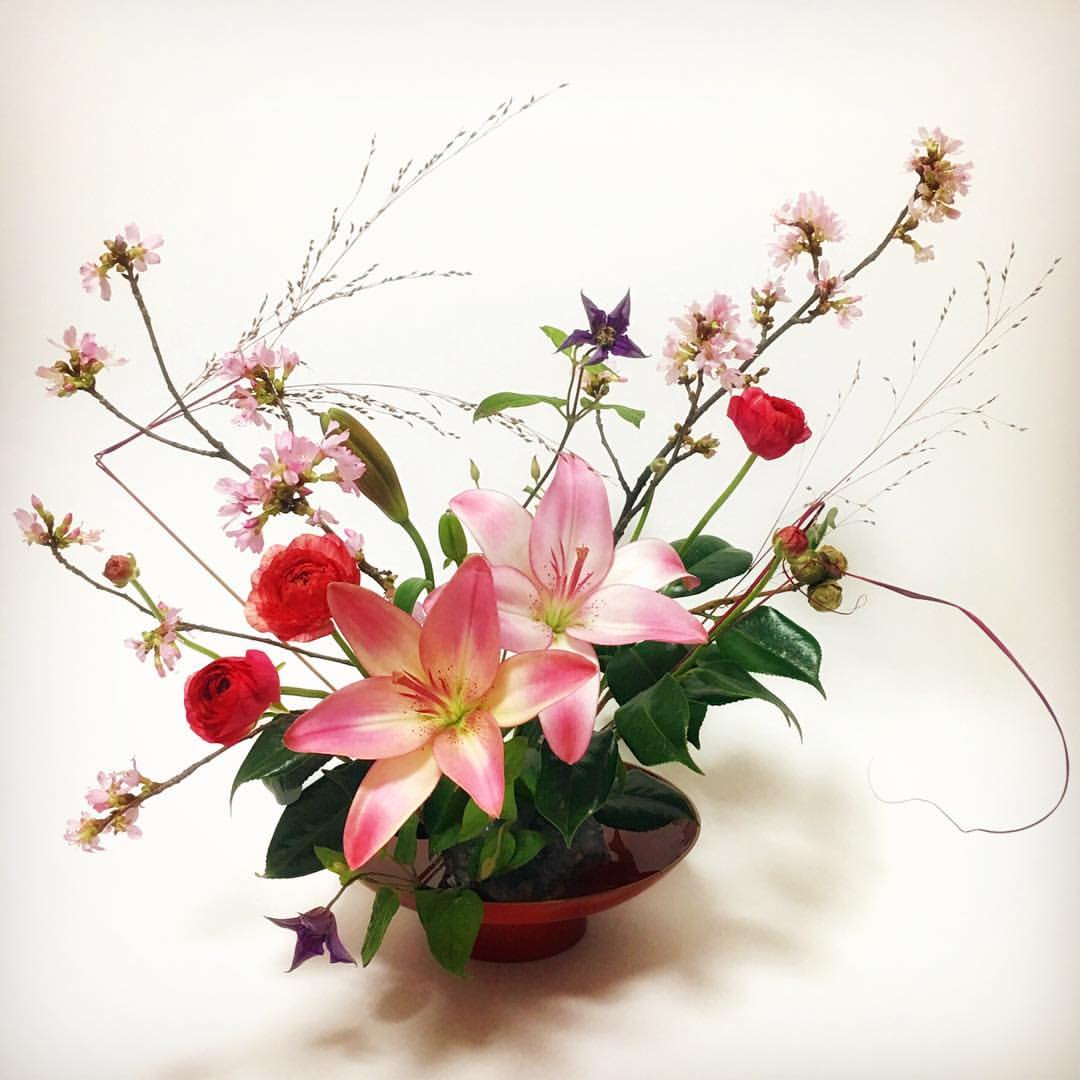 百合这样插花!撞色时尚,清新脱俗,反差萌拉满