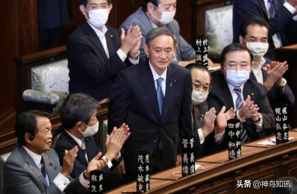 神鸟国际观察丨遭“老家”选民背叛，多人“上台打擂”！菅义伟连任之路危险重重