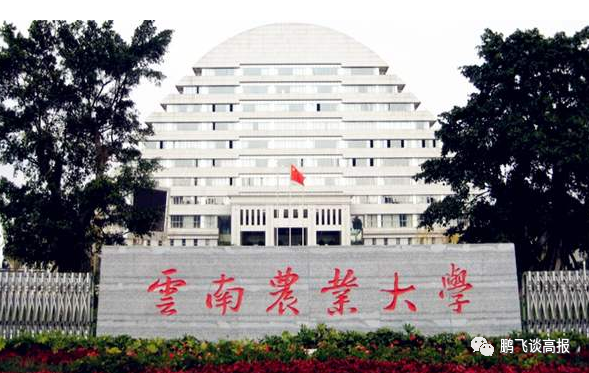 D78：云南省第一集团高校介绍，云大、昆明理工领衔