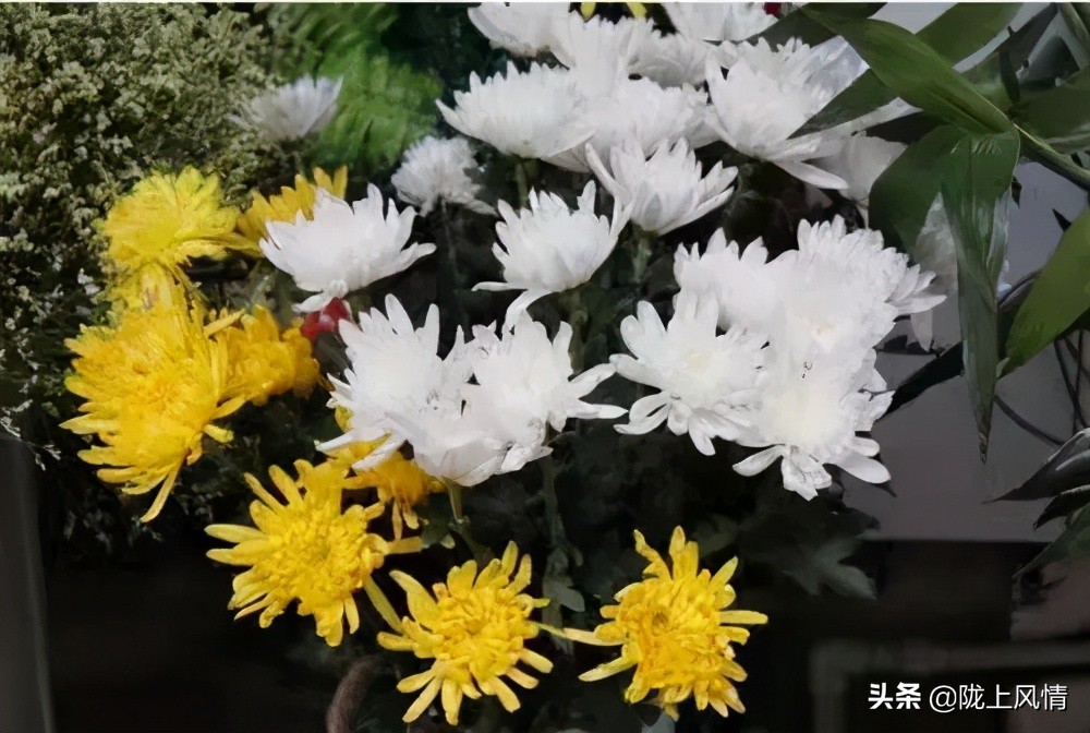 慎终追远一一怀念我的父亲