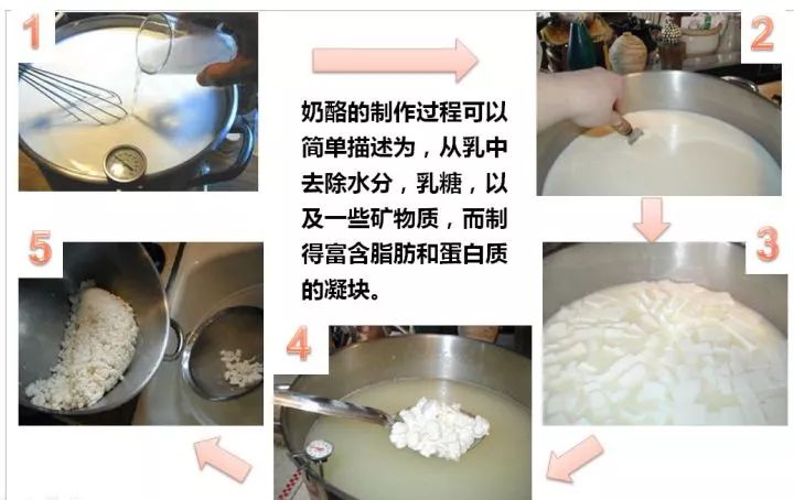 老外常吃的“芝士”到底是什么？得知它的原名后，一下子掉档次了