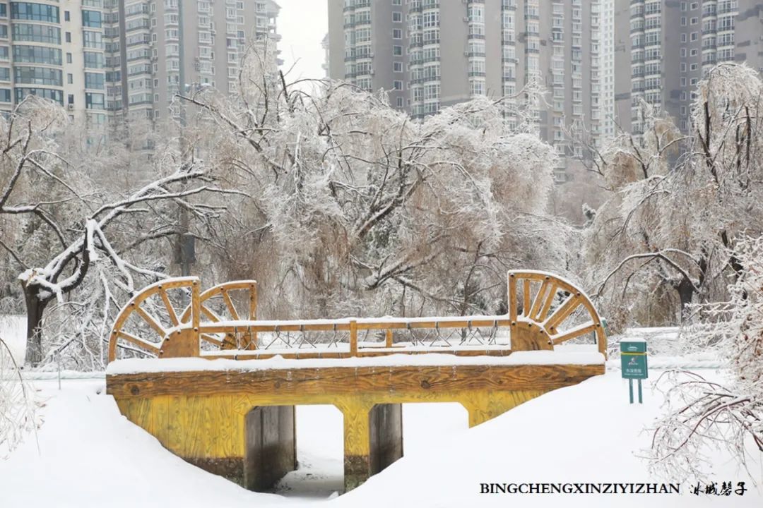 冰城暴雪冻雨之时，却让哈尔滨成为冬的水墨画卷