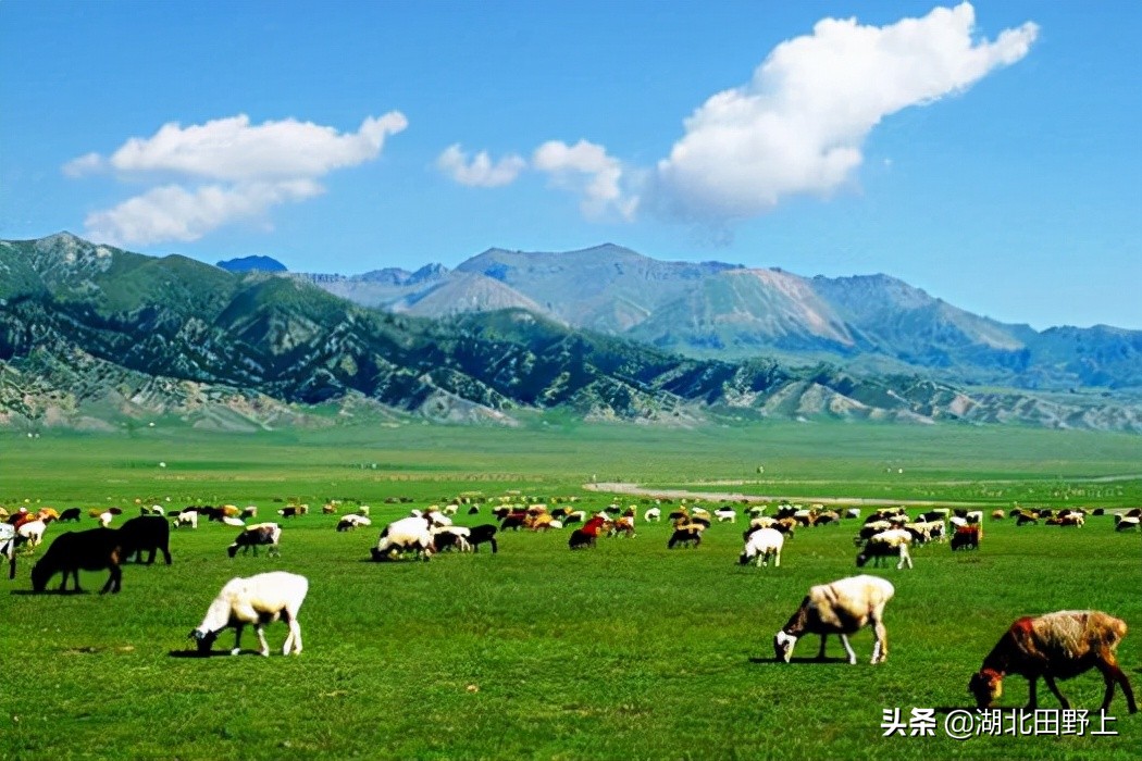 田野上團(tuán)隊(duì)下鄉(xiāng)小記丨走進(jìn)省級美麗鄉(xiāng)村示范村—分鄉(xiāng)鎮(zhèn)百里荒村