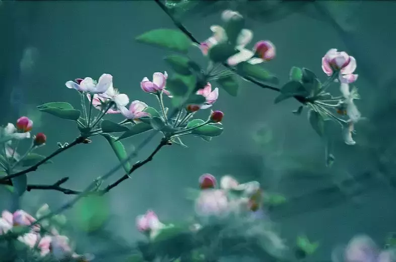 10首带颜色的诗词，赋予了色彩不一样的诗意，美得令人陶醉