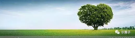 血色残阳毛坦厂（完整篇）