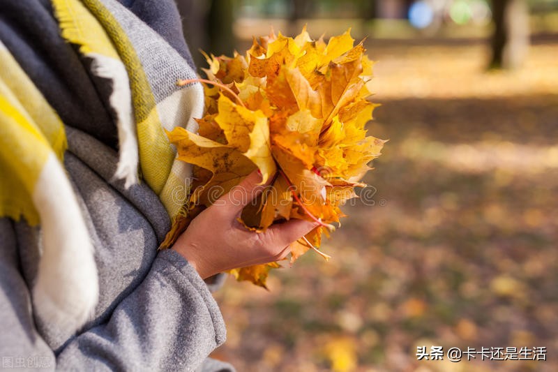 拉黑高段位处理，轻松挽回他的心