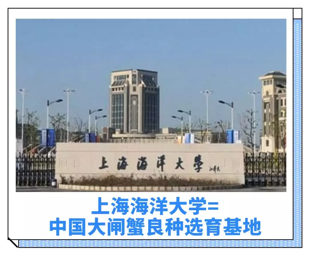 全国高校江湖名号大盘点，这么接地气的绰号你知道吗？