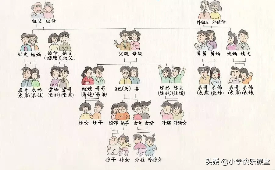 一张图看懂辈分称呼，过年回家，可别再叫错了