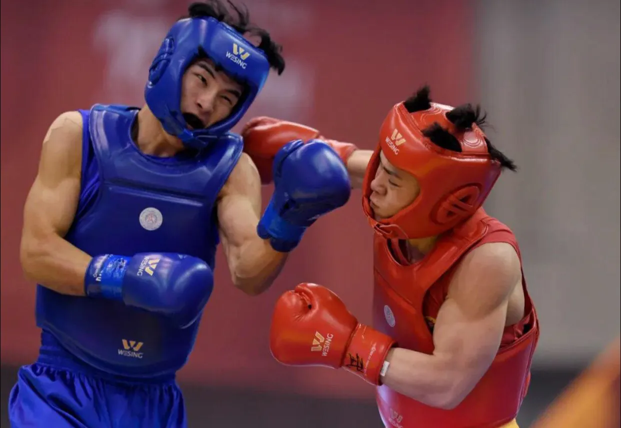 搏击散打和武术散打的区别 其散打分为搏击和套路两种