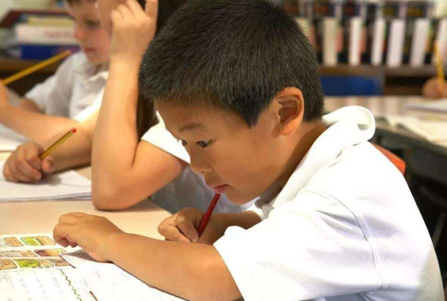 民办学校学费一般多少（沈阳民办学校学费和住宿费）