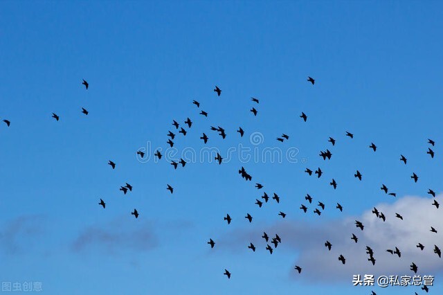 原来真正崩溃是没有声音的