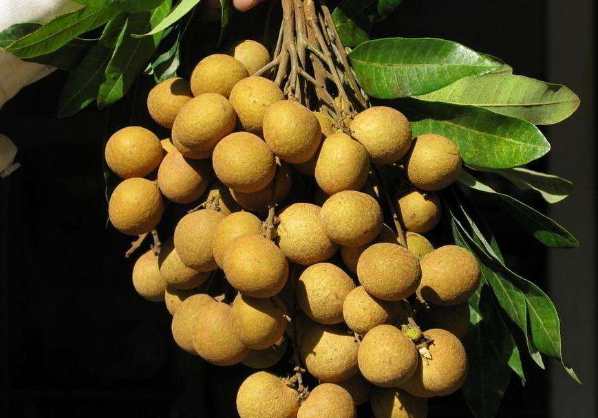 十里不同俗，全国各地拜年风俗大不同，你都见过吗？