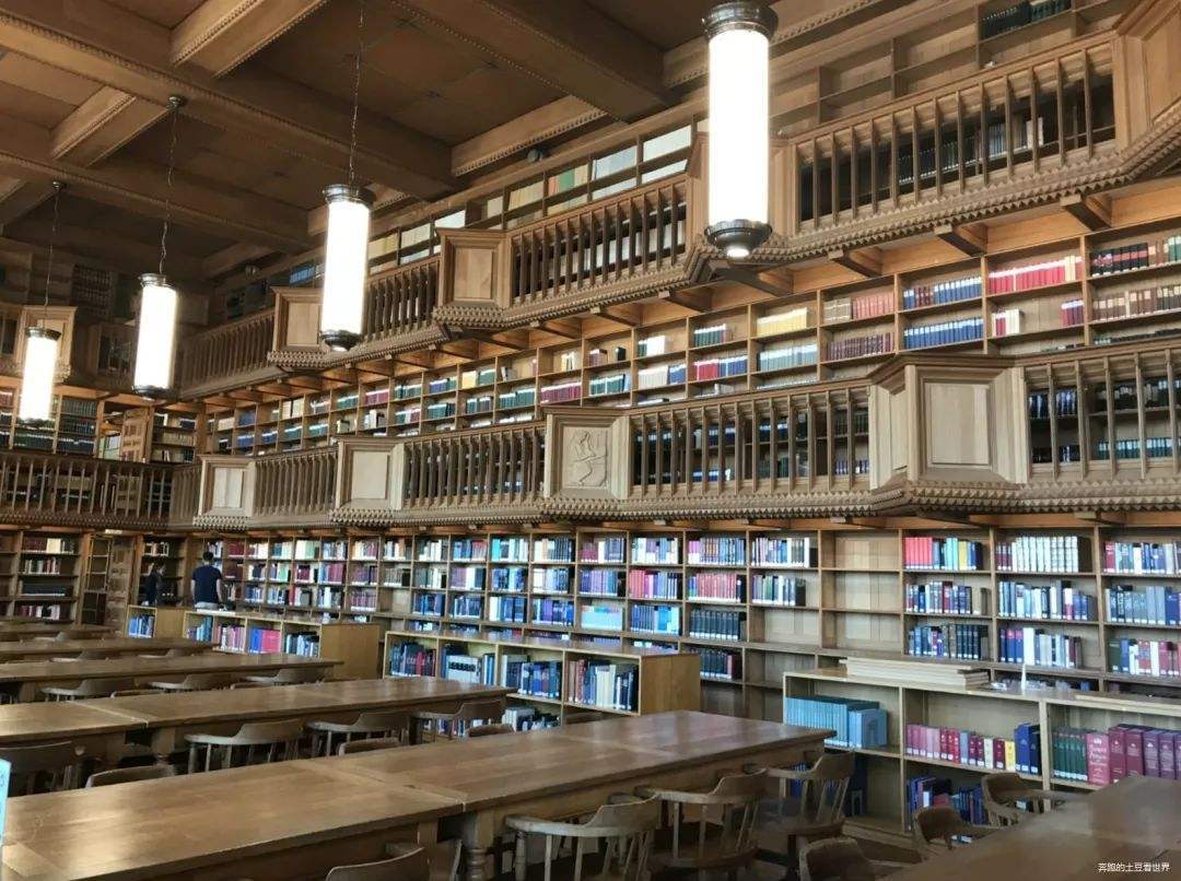 为什么“大学堕落症”频发？因为不上进的成本太低