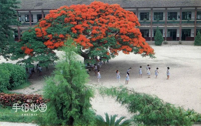 所有厦门人，你从小读到大的母校现在还在吗？