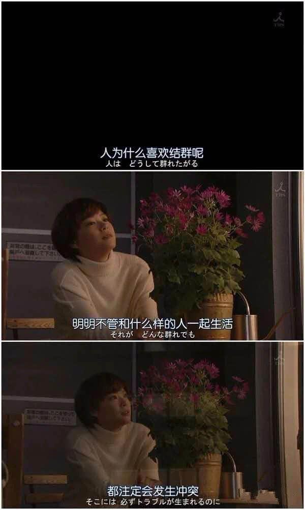 北京姑娘的44㎡小窝走红，第一眼就让人感叹：一个人住是真的舒服