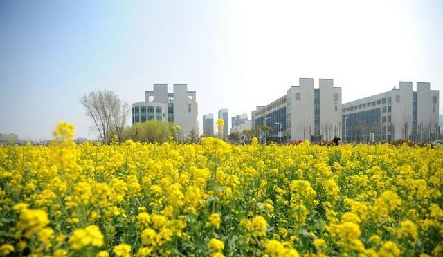 山东省菏泽市拥有4所大学院校，一本三专，牡丹之都加油！