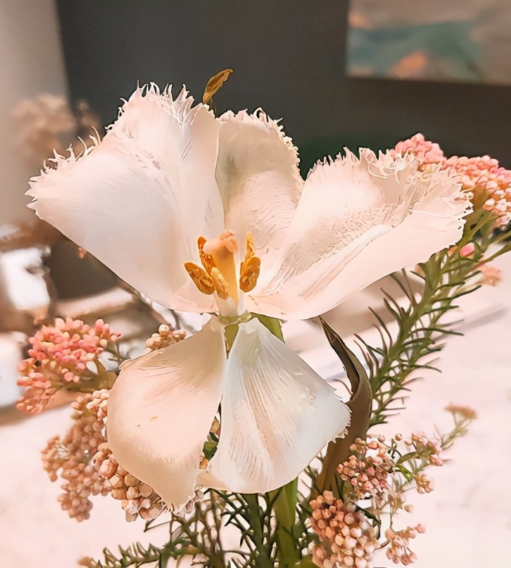 38岁Hebe亿元顶楼豪宅曝光，413㎡一个人住，太爽