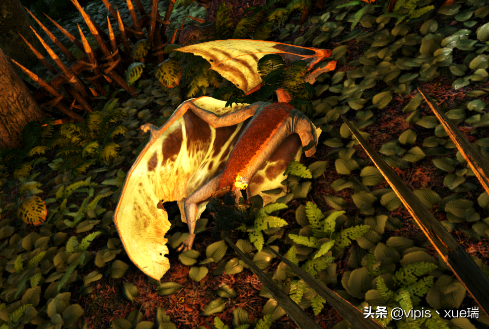 方舟生存进化生物篇—古神翼龙