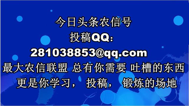 一份银行人的辞职报告，戳痛了多少人的心！