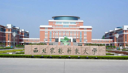 曾经的“冷门”，如今“最具潜力”，这个专业前十的院校都在这里了