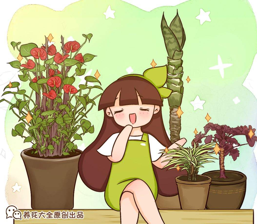 乔迁之喜应该送什么花最合适（乔迁送什么鲜花比较好）