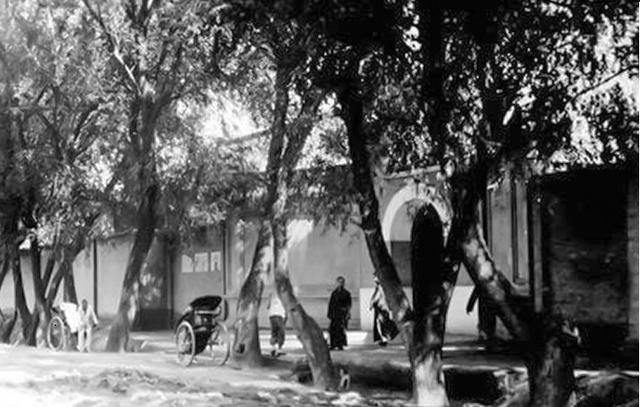 八旬老妪为何穿嫁衣入葬？十几年后，孙儿揭开爷爷离家不归的谜底