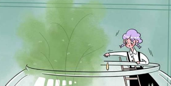 离骚必修二原文及翻译重点字词