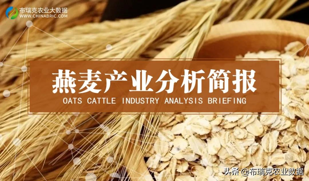 我国燕麦的消费量逐年提高,以饲用消费量为主,食用消费量为辅