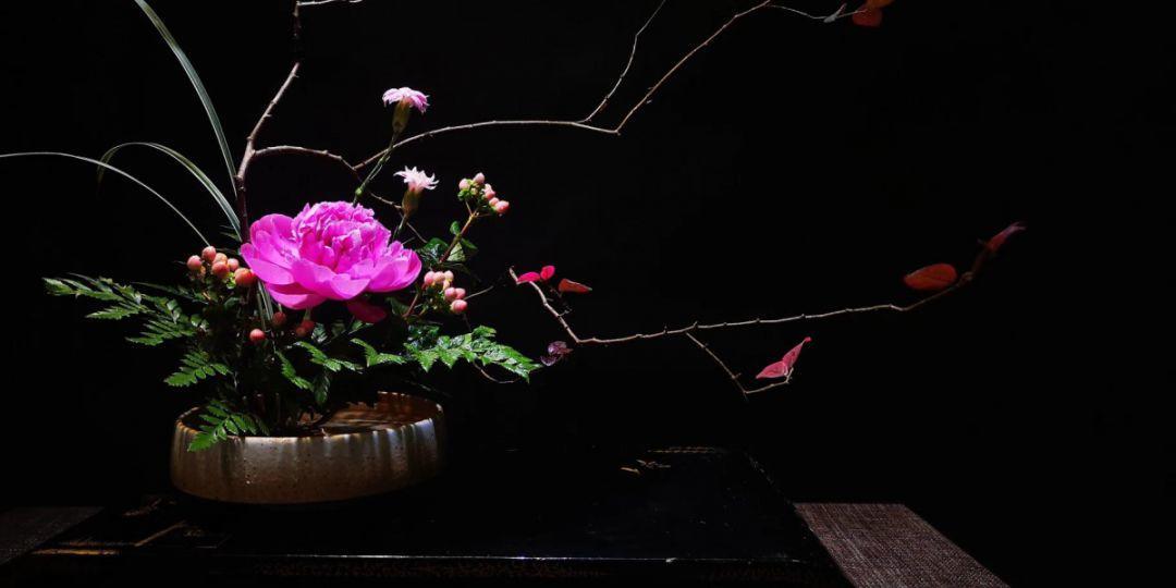 领略插花的意义,哪怕只是一个枯树根,也能做出独特的花道