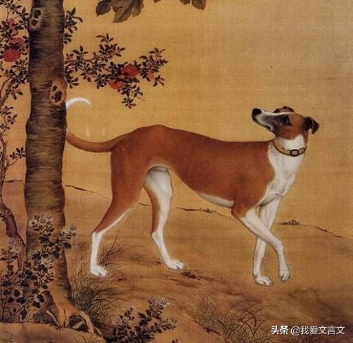 经典文言文赏析 | 智犬破案