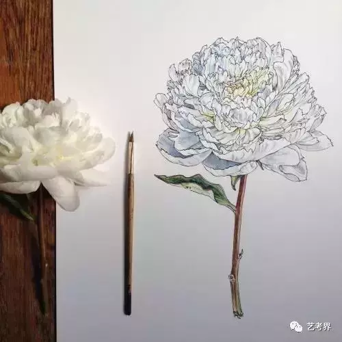 2017大连工业大学美术录取分数线（艺考生注意）