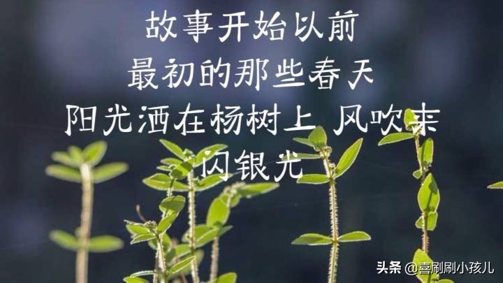 遇见你是我们的缘分，离开你是我们的缘分已尽