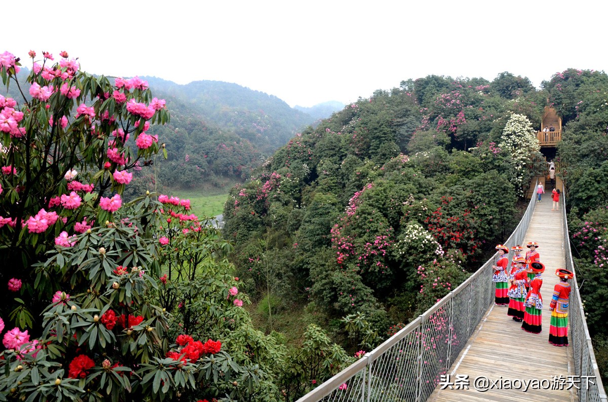 全国5A级旅游景区最新门票价格（贵州篇）