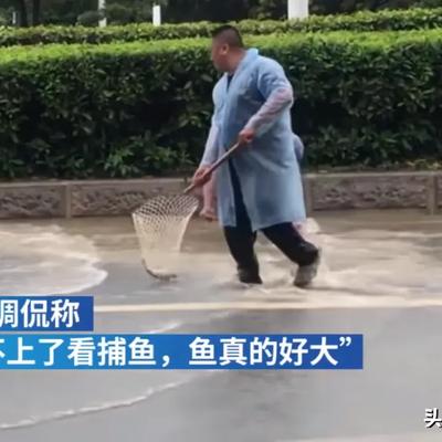 暴雨季节，水中行走可能被电击致死，请看先例