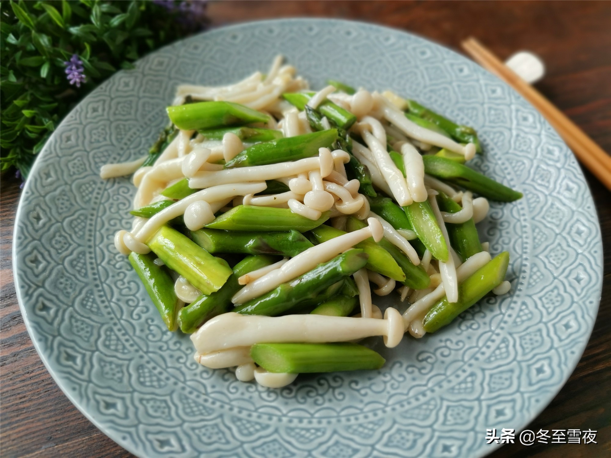 素菜菜譜大全,素菜菜譜大全家常菜